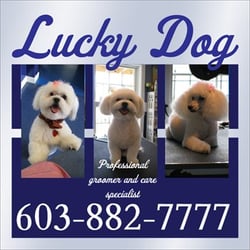 lucky grooming lucky grooming salon nashua nh lucky grooming lucky grooming salon nashua nh
