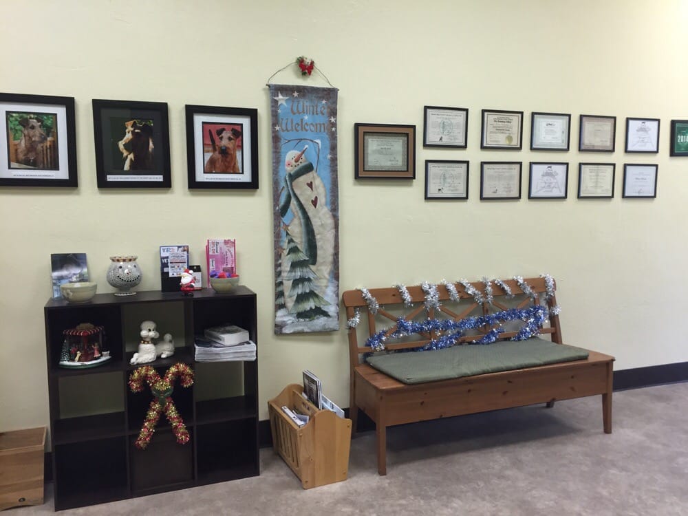 Pet Image 56 Photos Pet Groomers 1336 E 14th St San Leandro, CA