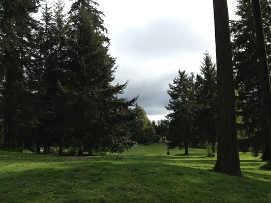 leash park near me lake leash park parks federal way wa yelp leash park near me lake leash park parks federal way wa yelp
