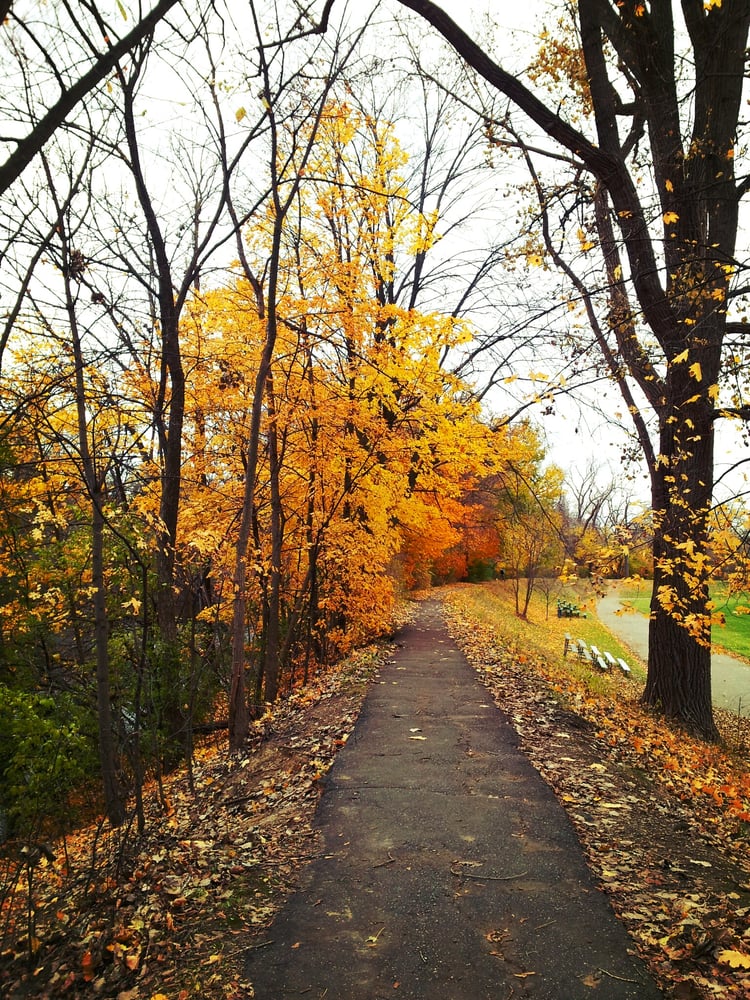 Frog Island Park Parks Depot Town Ypsilanti Ypsilanti, MI
