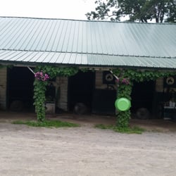 Saratoga casino phone number