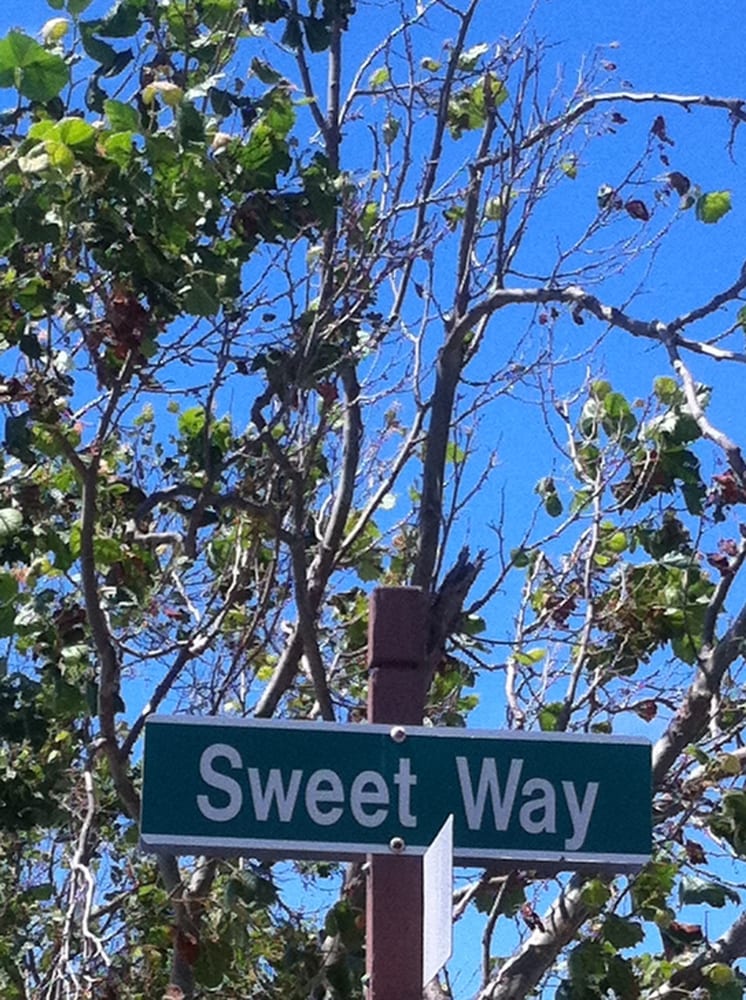 Bay Farm Island Shoreline Trail Hiking Alameda, CA Yelp