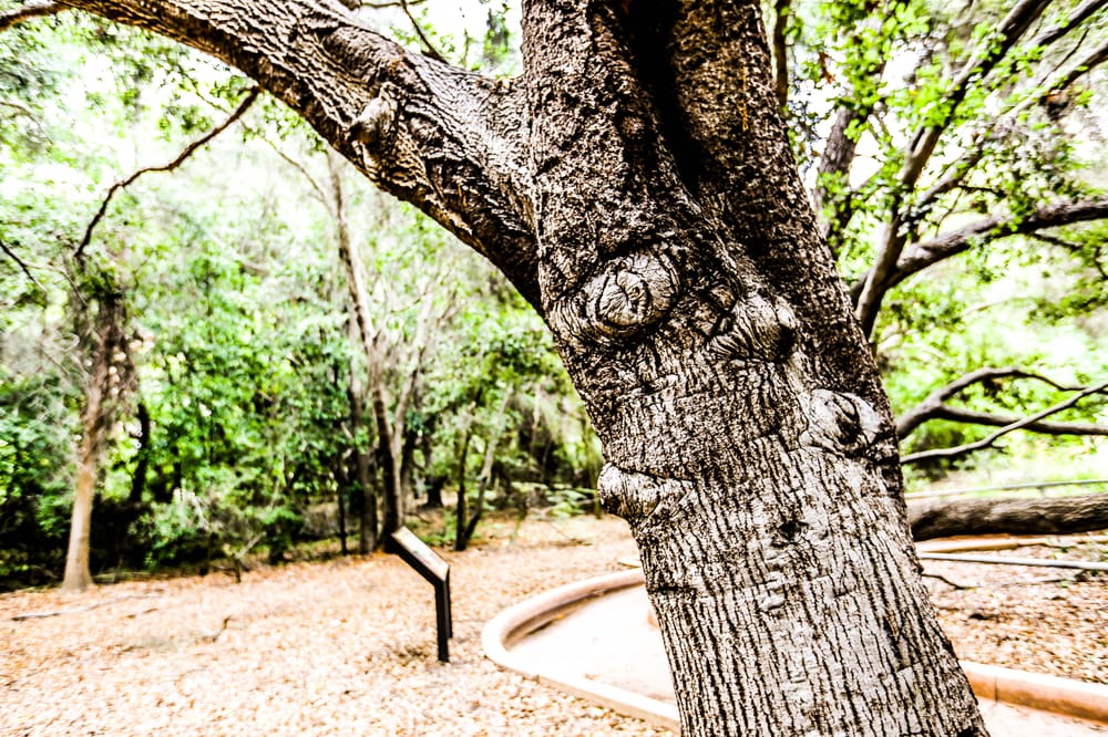 El Dorado Nature Park Hours El Dorado Nature Park Hours