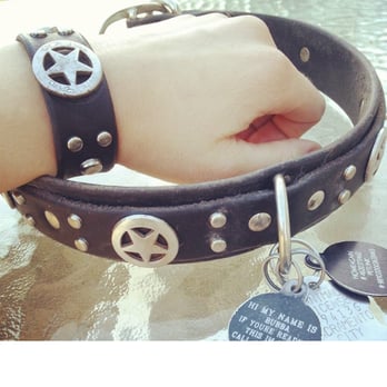 ... collar and matching bracelet they custom made. - Berkeley, CA, United ... collar and matching bracelet they custom made. - Berkeley, CA, United