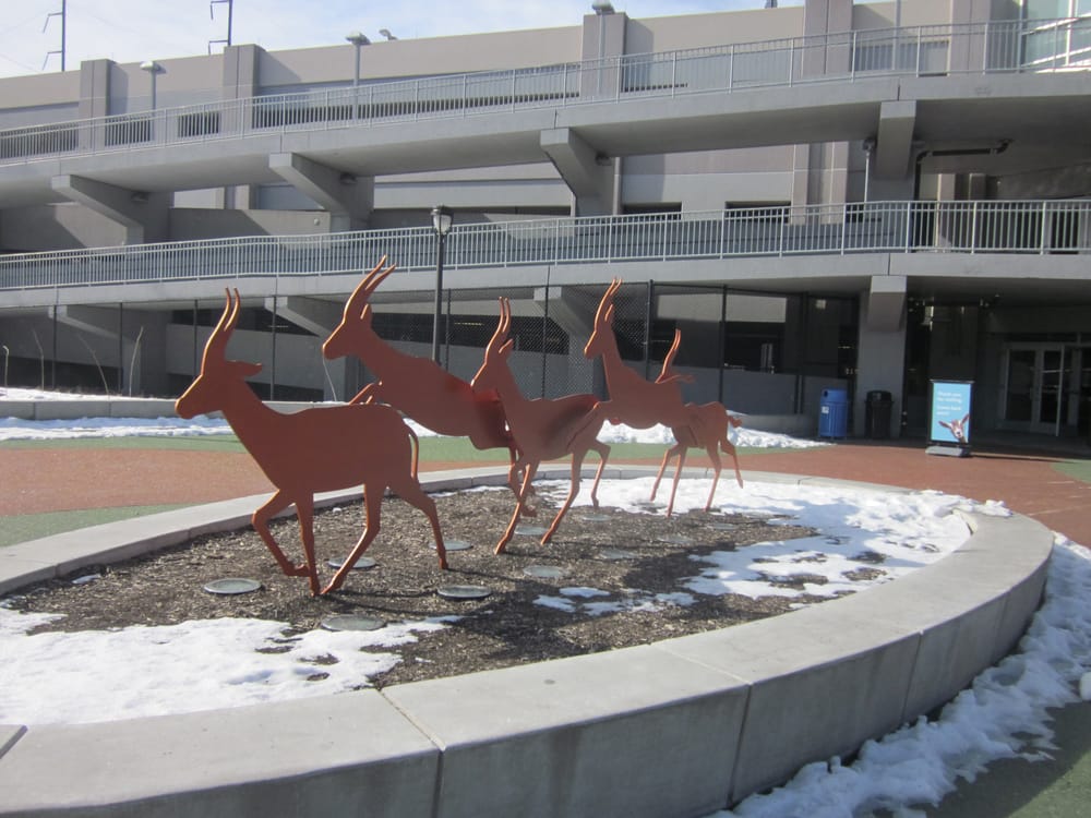 Philadelphia Zoo Zoos Philadelphia, PA Reviews Photos Yelp