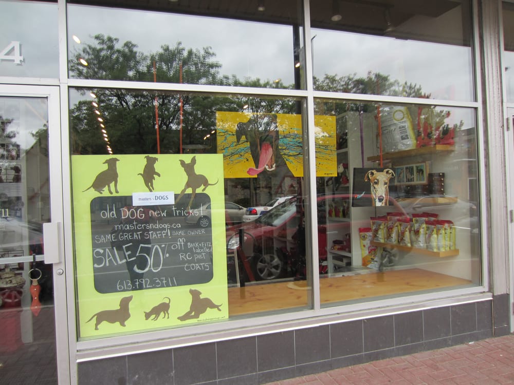 masters n dogs pet stores ottawa on reviews masters n dogs pet stores ottawa on reviews