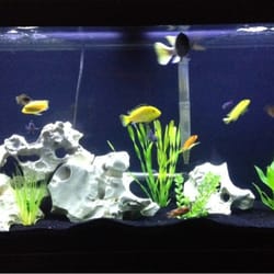 Pet and aquatic warehouse coupons