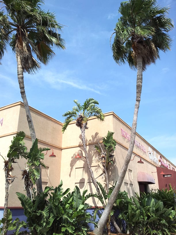 Clicks Paradise Sports Bars Corpus Christi, TX Yelp