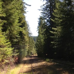 Skunk Train - 95 Photos - Tours - Fort Bragg, CA - Reviews - Yelp