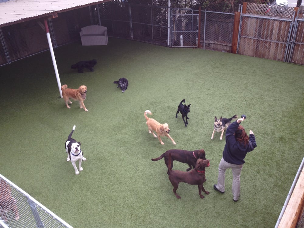 ParkAPup Kennels Pet Boarding/Pet Sitting San Rafael, CA Yelp