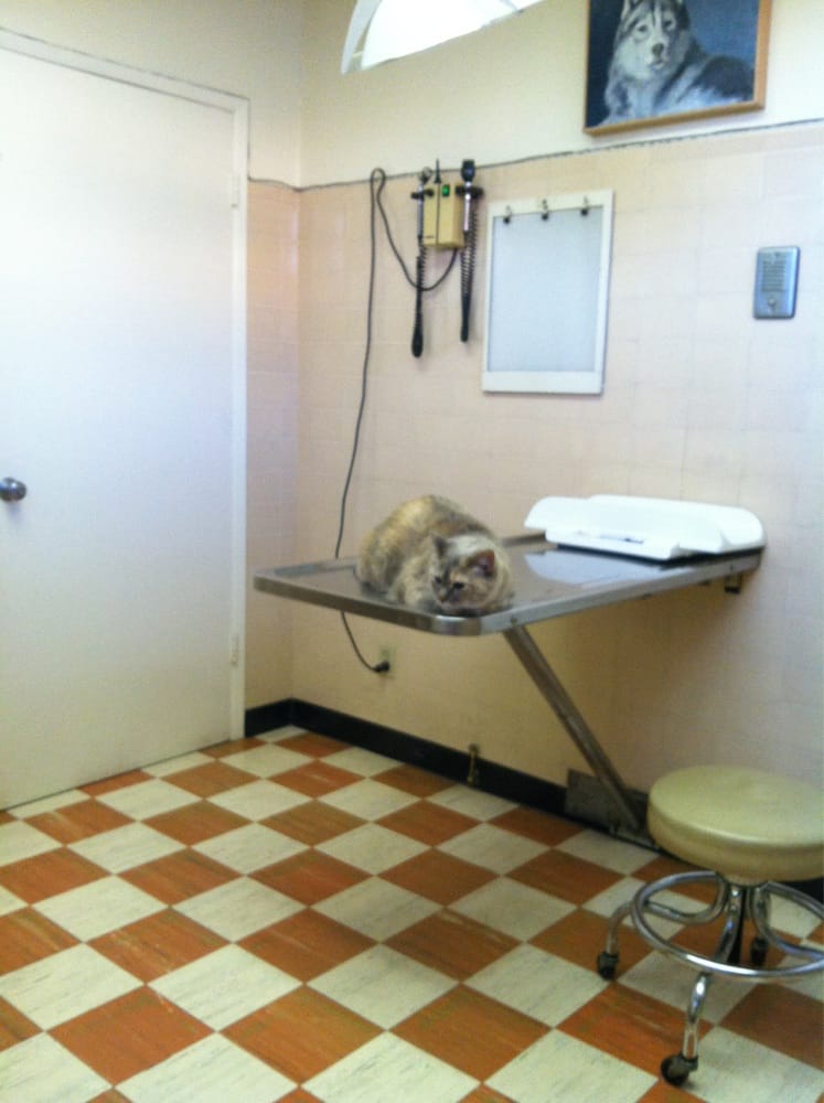 Richmond Veterinary Hospital 16 Photos Veterinarians Richmond, CA