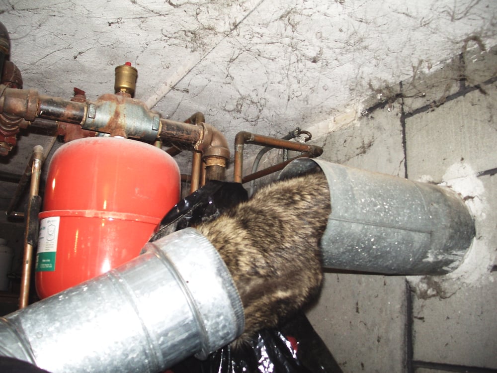 Ultimate Chimney Sweep Contractors Bellingham, MA