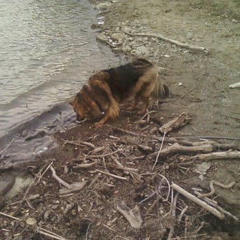 Del Valle Regional Park Dog Friendly Del Valle Regional Park Dog Friendly