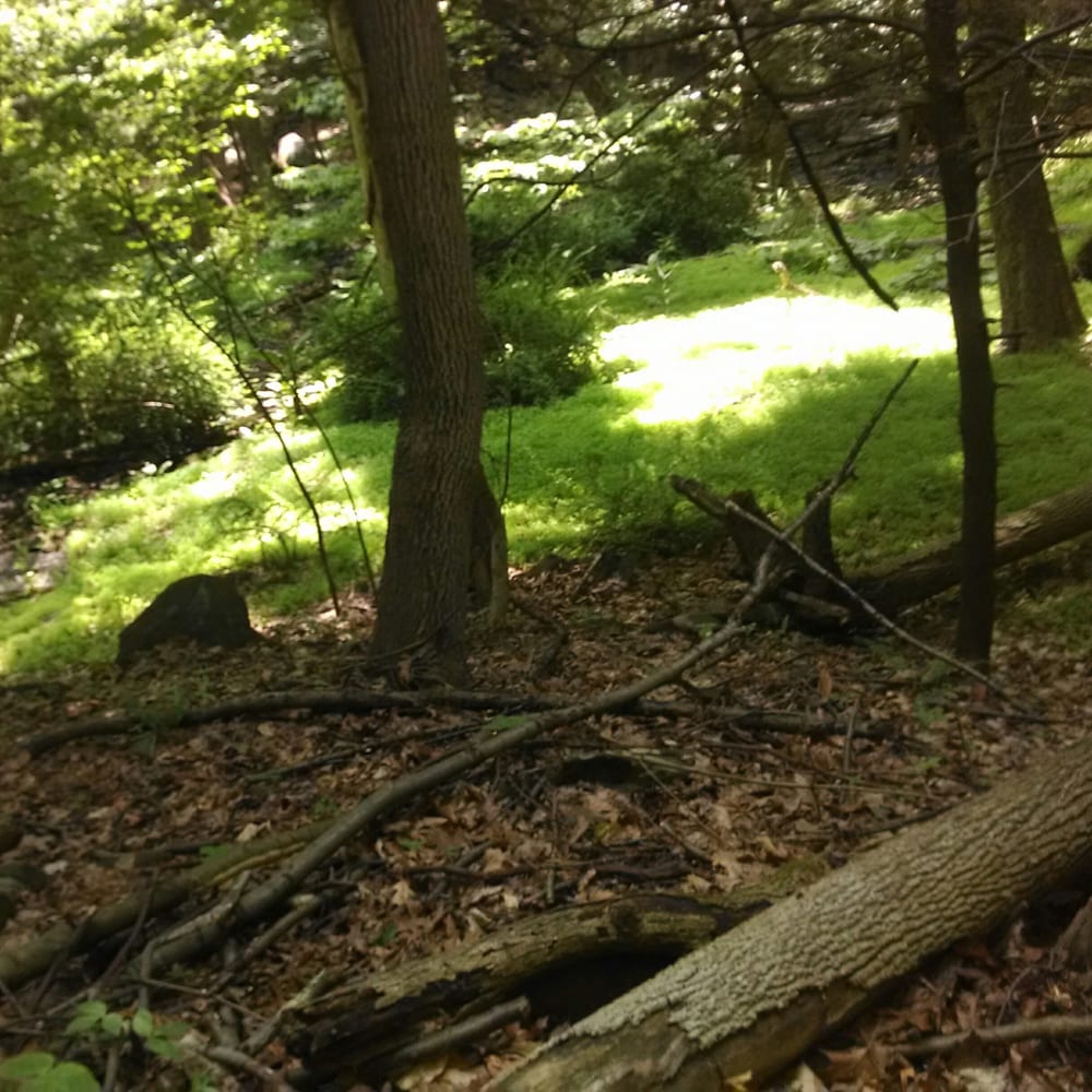 Depew Park & Pool Parks Peekskill, NY Yelp