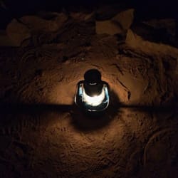Mammoth Cave Violet City Lantern Tour Reviews Mammoth Cave Violet City Lantern Tour Reviews