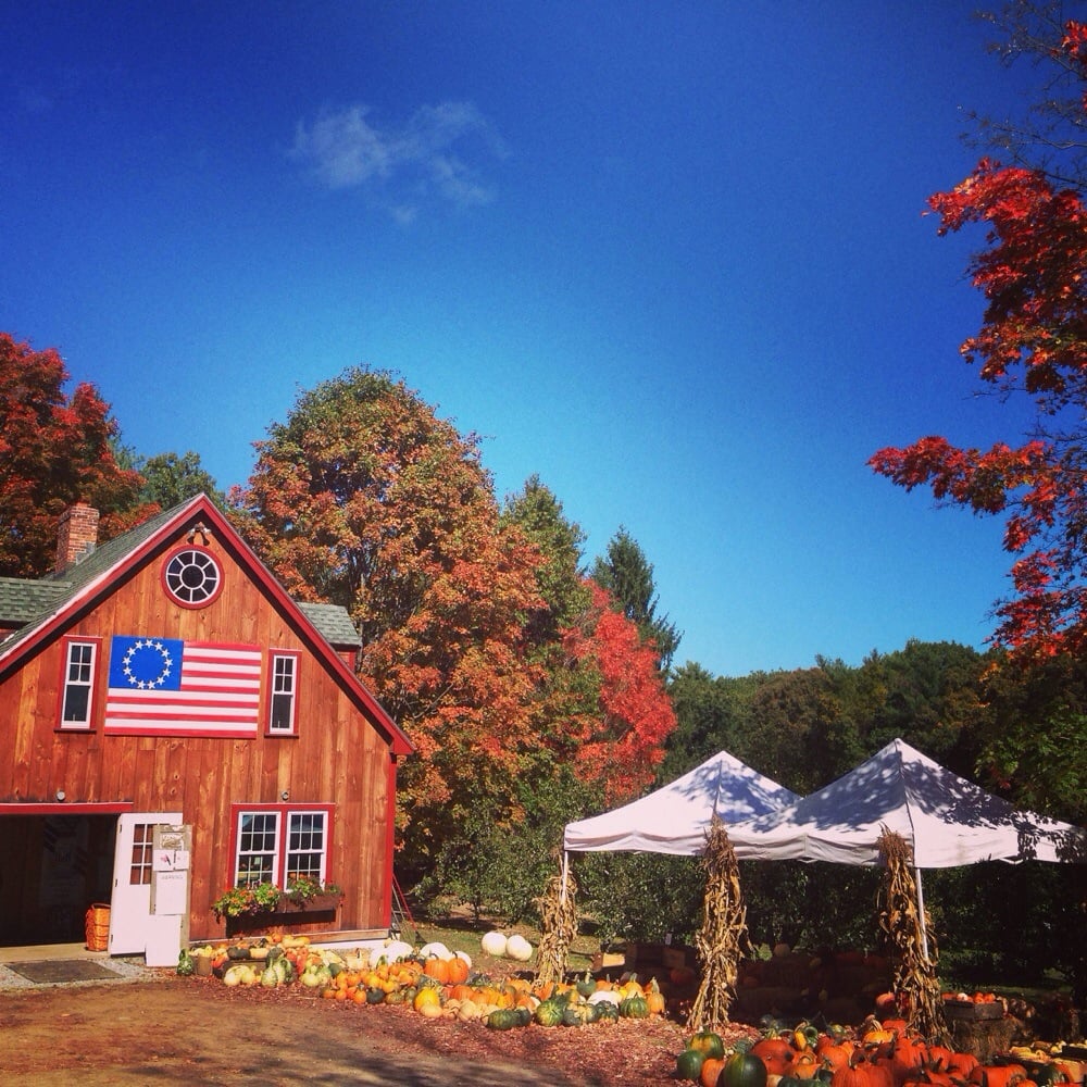 Nicewicz Family Farm Farmers Market Bolton, MA Reviews Photos