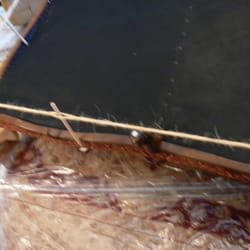 CMS Enterprises logo