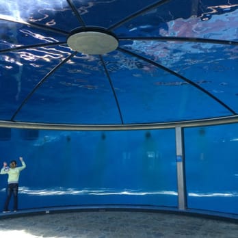 Indianapolis Zoo - Indianapolis, IN, United States. Dolphin area