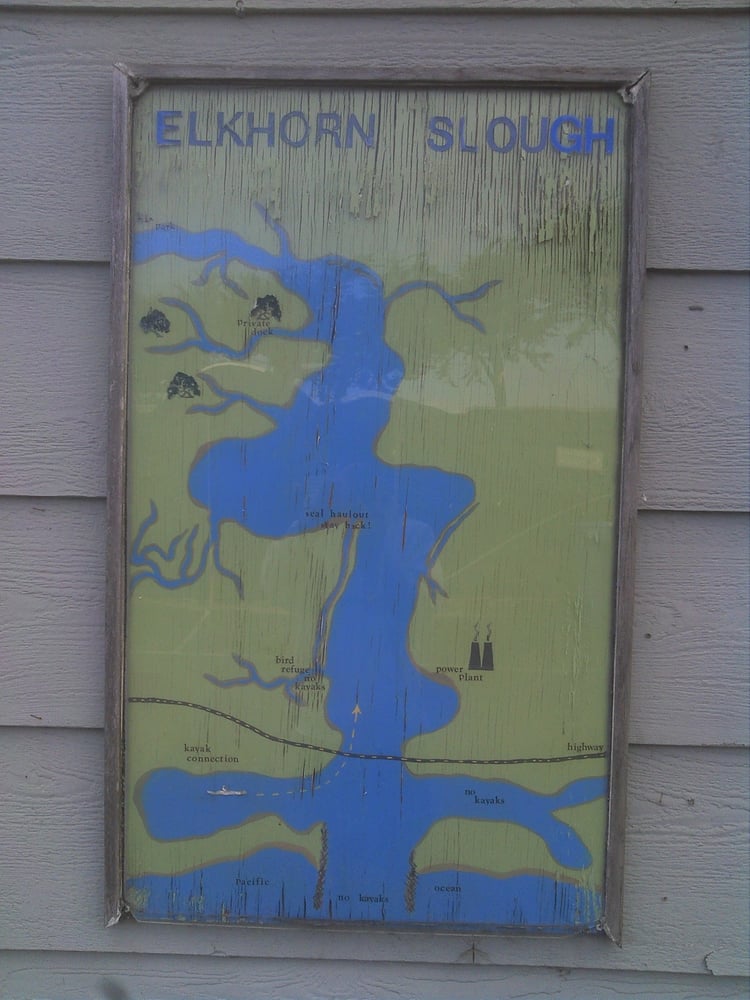 Elkhorn Slough Parks Moss Landing, CA Reviews Photos Yelp