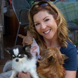 Your Dog's Best Friend logo