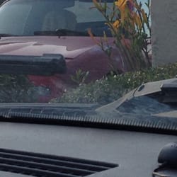 Napa Valley Car Wash Reviews Napa Valley Car Wash Reviews