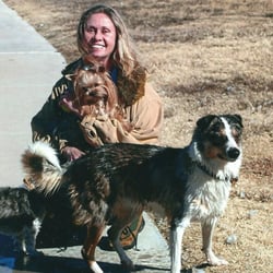 boarding midland tx three shepherds pet house sitting services pet boarding pet sitting 4304 boarding midland tx three shepherds pet house sitting services pet boarding pet sitting 4304