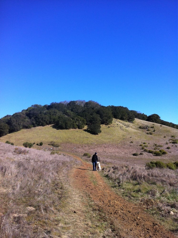 Indian Valley Open Space Preserve Parks Novato, CA