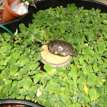 Keit Greenhouse Bay City Mi Keit Greenhouse Bay City Mi