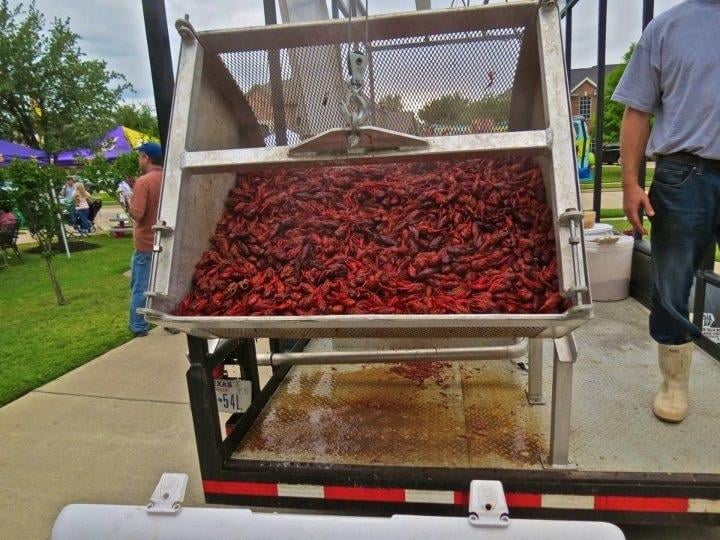 Heads or Tails Cajun Crawfish Caterers Flower Mound, TX Yelp