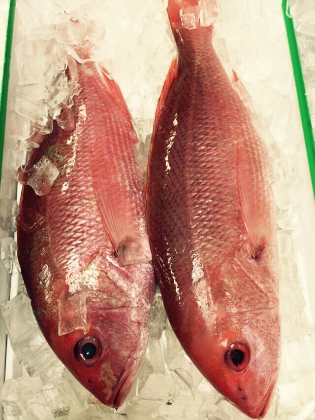 Ocean City Seafood Market Seafood Markets Salt Lake City, UT Yelp