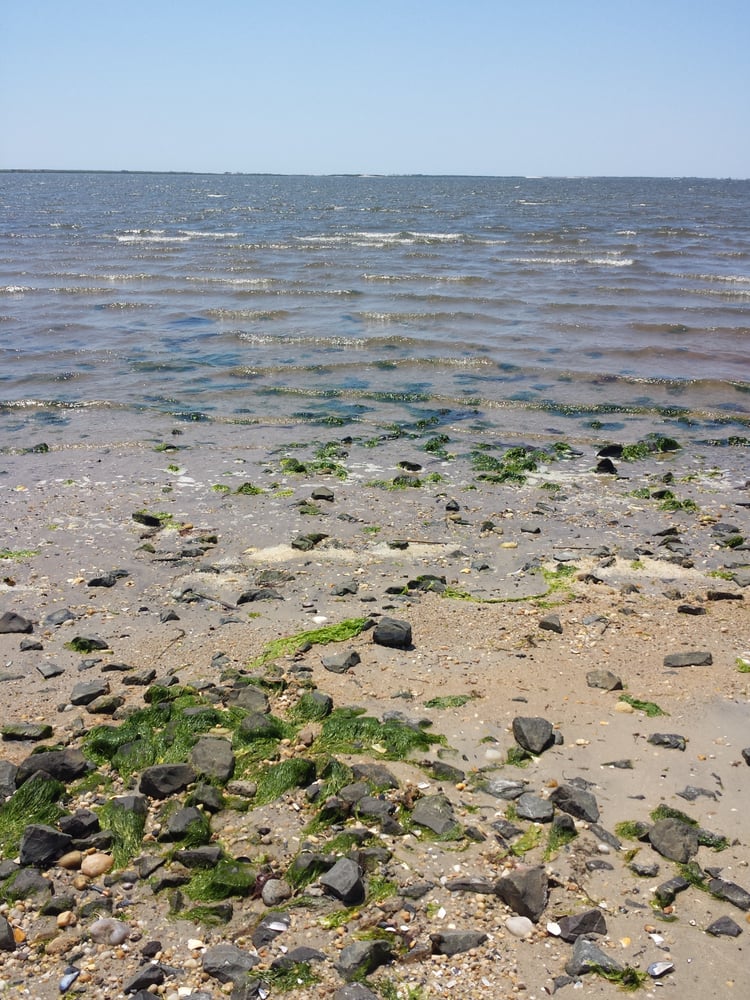 by’s Park Beaches Center Moriches, NY Reviews Photos Yelp