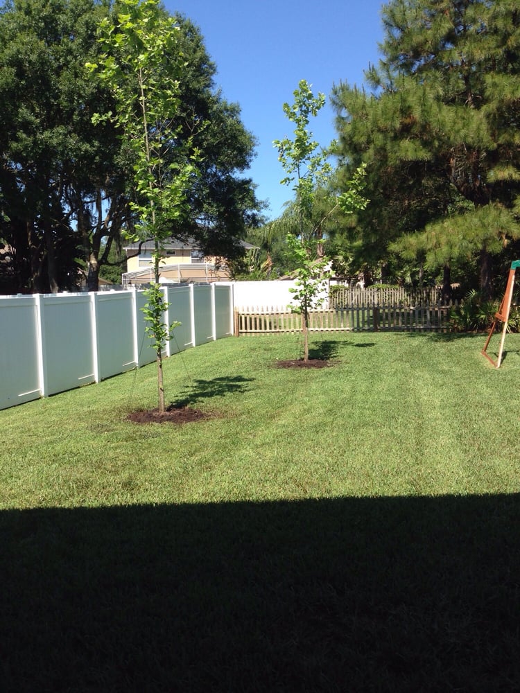 Lukas Nursery & Butterfly Encounter 26 Photos Nurseries & Gardening