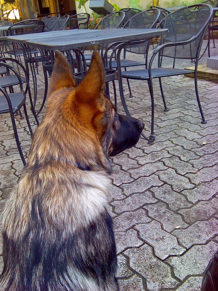 Pam’s Patio Kitchen Sandwiches San Antonio, TX Reviews Photos Menu Yelp