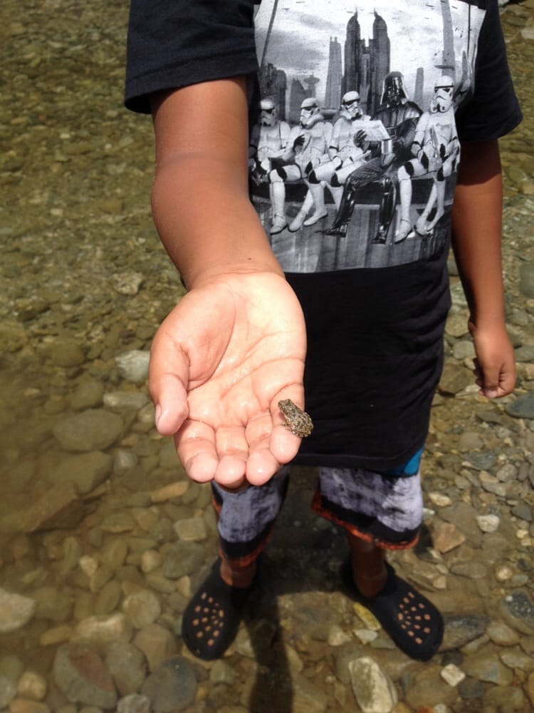 Camp Williams Resort Campgrounds Azusa, CA Reviews Photos Yelp