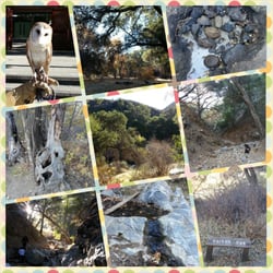 Placerita Canyon State Park