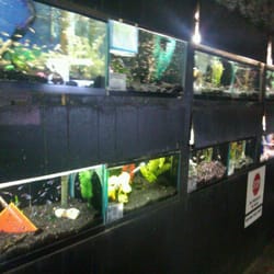 Fish Den logo
