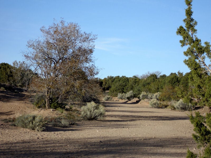 Frank S Ortiz Dog Park Dog Parks Santa Fe, NM Yelp
