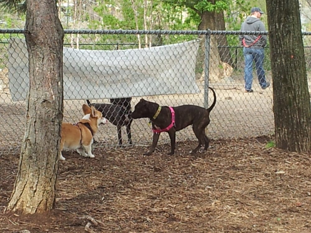 Shirlington Park 50 Photos Dog Parks Arlington, VA Reviews Yelp