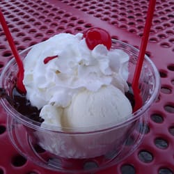 Bruster's ice cream coupons 2018