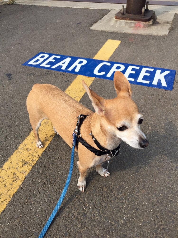 Bear Creek Park 10 Photos Playgrounds Medford, OR Reviews Yelp