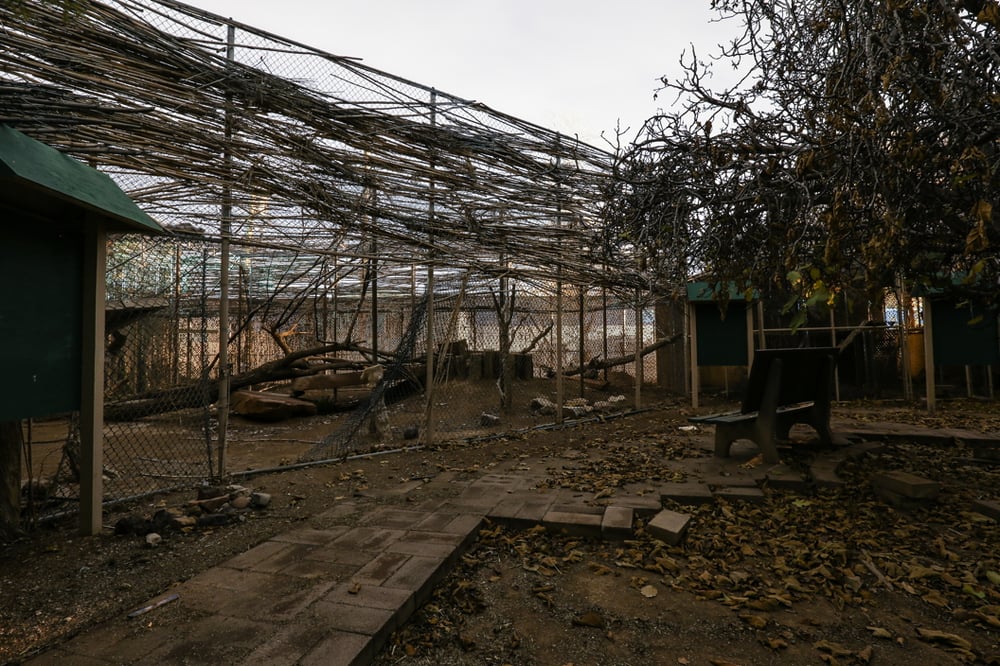 Southern Nevada Zoological and Botanical Park - CLOSED - Zoos ... Southern Nevada Zoological and Botanical Park - CLOSED - Zoos ...