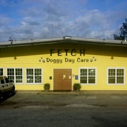 day care charleston sc fetch day care pet boarding pet sitting charleston sc yelp day care charleston sc fetch day care pet boarding pet sitting charleston sc yelp
