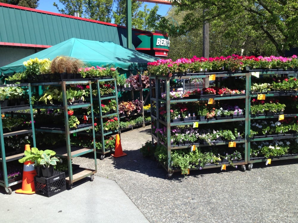 Bert’s Red Apple Market Grocery Madison Park Seattle, WA