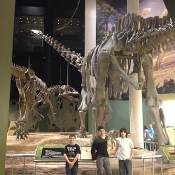 Sam Noble Natural Museum Of History Sam Noble Natural Museum Of History