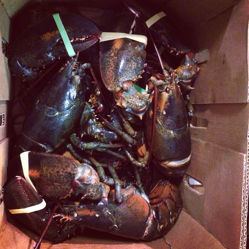 The New Fulton Fish Market Seafood Markets Bronx, NY Reviews