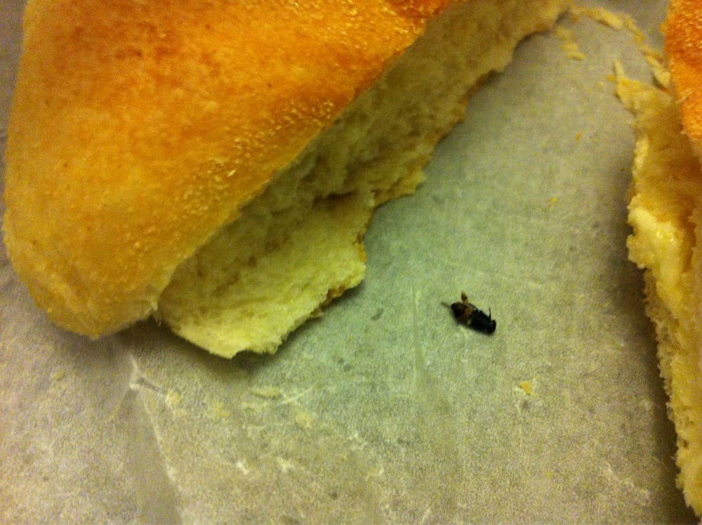 Elio’s Bakery & Deli Bakeries Jersey City, NJ Reviews Photos Yelp