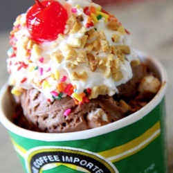 Scoop Deck Ice Cream Shop logo