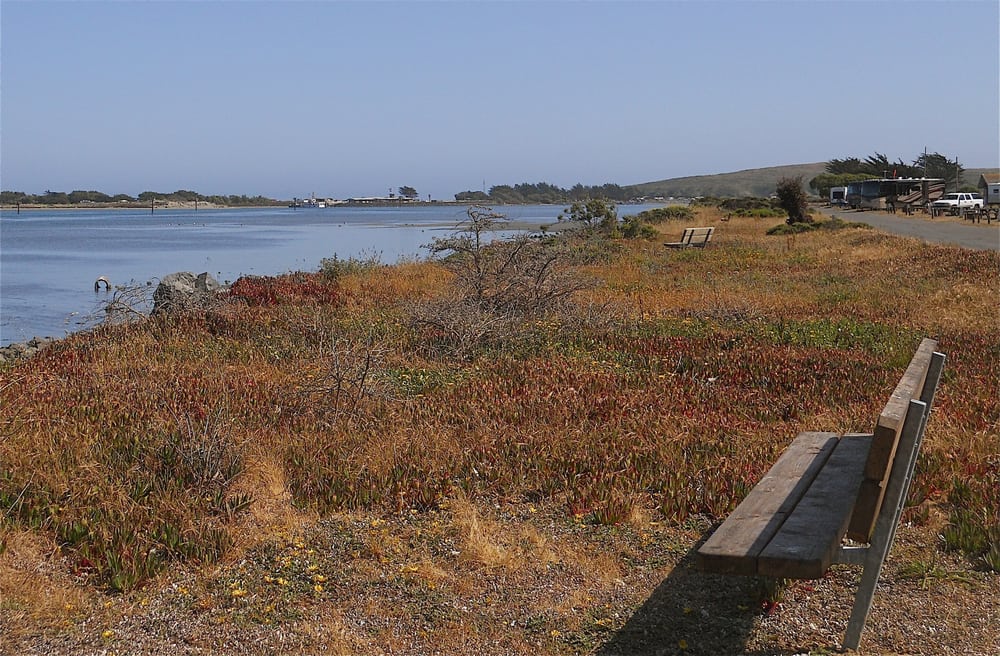 Westside Regional Park 11 Photos Parks Bodega Bay, CA Reviews