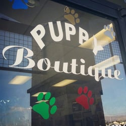 puppy boutique las vegas puppy boutique las vegas 61 photos pet stores northwest las vegas nv puppy boutique las vegas puppy boutique las vegas 61 photos pet stores northwest las vegas nv