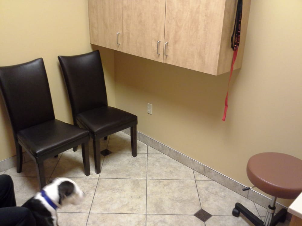 Alicia Pacific Veterinary Center Laguna Niguel, CA Yelp